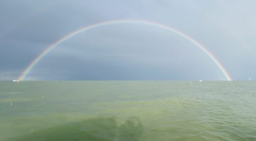 IMG_4755